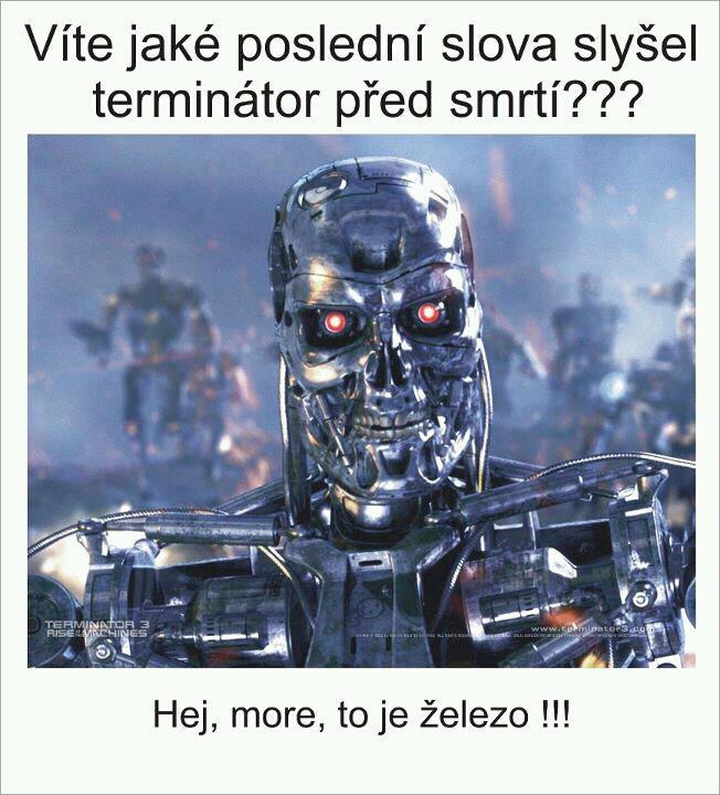 terminator.jpg