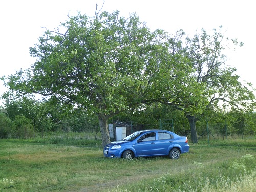 Aveo6.jpg