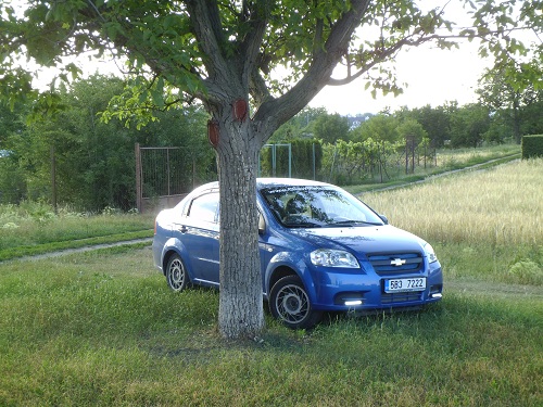 Aveo8.jpg