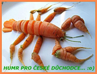 Pro české důchodce.jpg