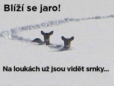 Jaro se blíží.jpg