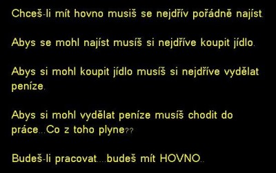 hovno.jpg