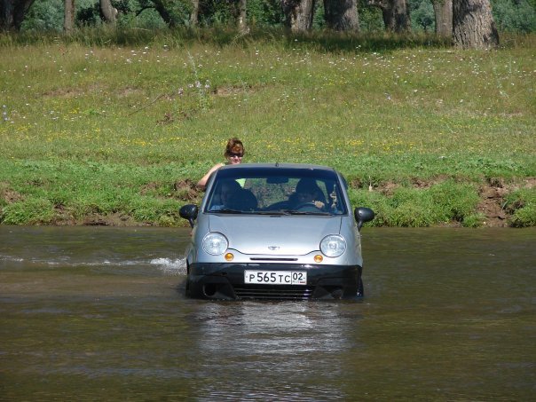 obojživelník.jpg