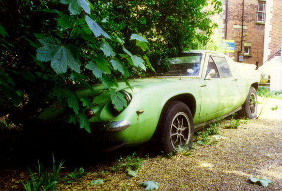 Lotus europa.jpg