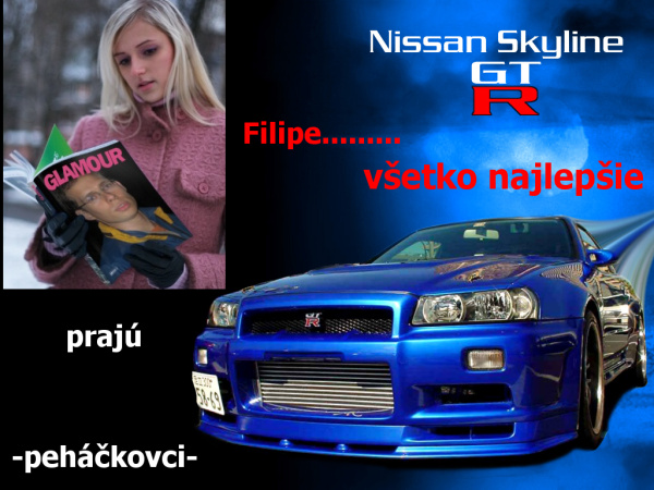 nissan skyline.jpg